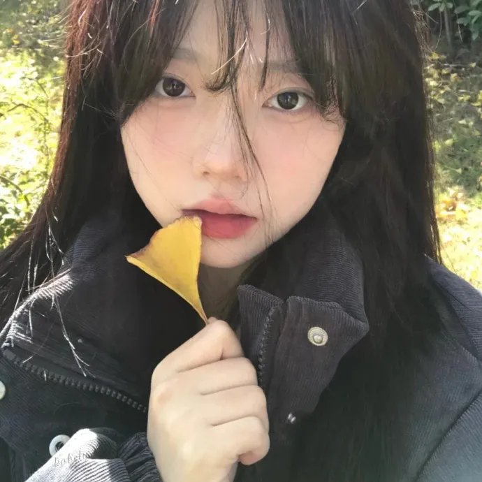 黑暗的习惯